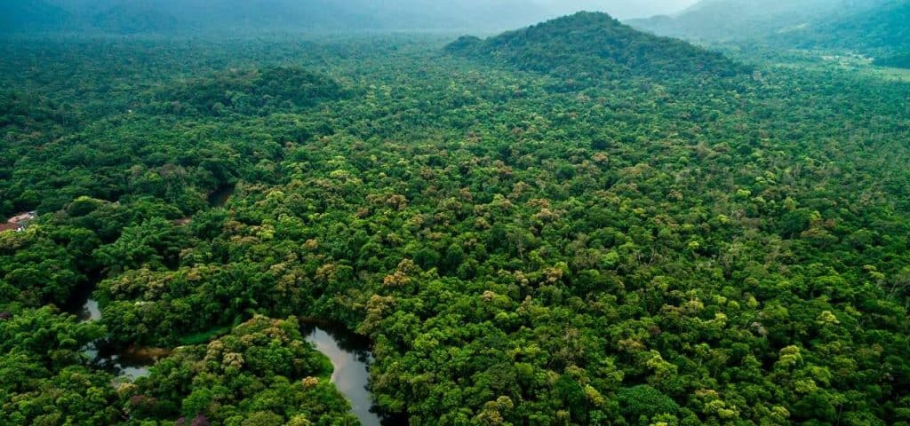 A Área de Preservação Permanente (APP) presente no meu terreno pode entrar no somatório da área de reserva legal?