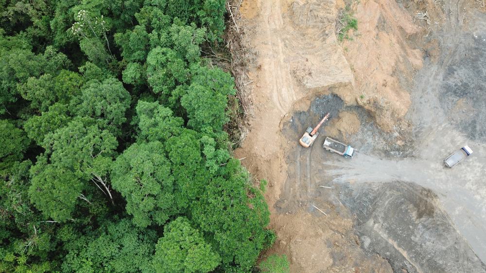 Área de preservação permanente suprimida