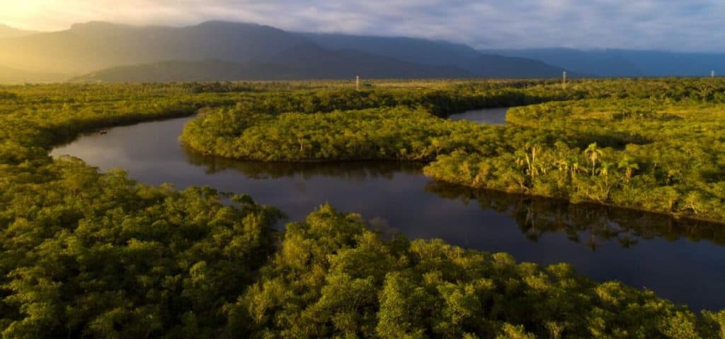 Dia da Amazônia | “A terra não pertence ao homem; o homem pertence a terra”.