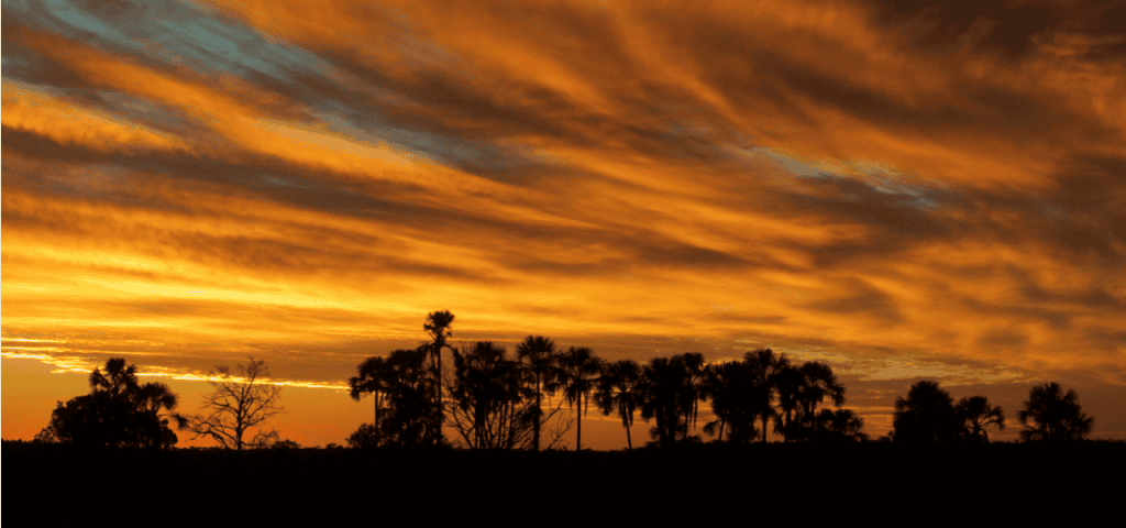 recursos naturais do cerrado